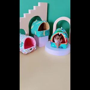 Cute Cartoon Rabbit Squirrel Mini Cage Guinea Pig Nest Small Animal Mice Rat Pet Sleeping Bed Hamster House Winter Warm Soft Mat