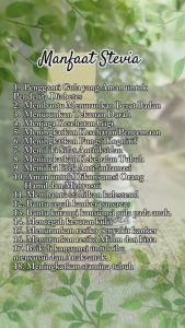 STEVIA TETES ORIGINAL PEMANIS STEVIA CAIR NOL 0 KALORI/GULA DIABETES | ISI 15 ML | GRATIS EMAS ASLI