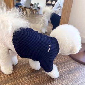 High Quality Spring Autumn Dog Clothes Pet Base Shirt 2024 New Teddy Bichon Pomeranian Schnauzer Cat Dog Clothing Accessories