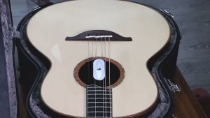 Acoustic Guitar Sound Hole Humidifier Anti-drying Instrument Care Humidity Adjustment