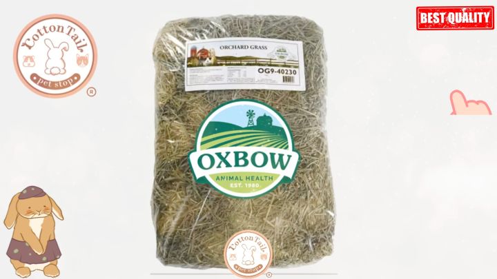 OXBOW Orchard hay 1kg Makanan kelinci guinea pig Setara Rumpu
