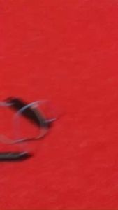 Loa Laptop Dell Latitude E5480 E5490 E5491 E5495 new