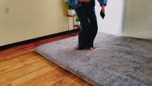 BS Home Decor Karpet bulu rasfur ruang tamu 160x100 cm Aestetik Super LP