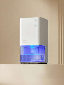 Compact Home Dehumidifier
