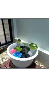 ดอกบัวสยามปลอมลอยน้ำ  ลอยในอ่างปลา ลอยในสระว่ายน้ำ สวยเหมือนของจริง