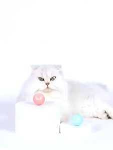 Mainan Anjing Kucing Bola Mainan Hewan Peliharaan Mainan Anjing Kucing Interaktif Pintar