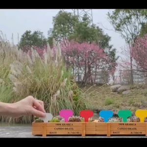 100Pcs Plant Label PVC Tag Markers: Your Ultimate Guide