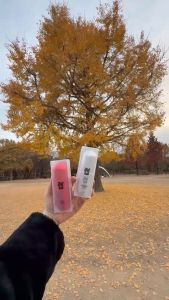 🇰🇷 S.LAB - No 1 Korea | Weight Control |韩国人气瘦身 | 燃脂 | Slimming | Fat burn