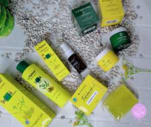 Cream Temulawak Bpom By VNatural Netto 20 Gram Day&NIght Cream