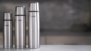 THERMOS FBB500SS4 Vacuum Insulated 16 Ounce Compact Stainless Steel Beverage Bottle
