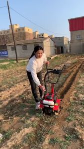 Máy xới đất vun luống ngô gia đình