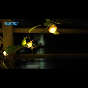 ไฟเปลือกหอยโซล่าเซลล์ ยาว 5M/50 หลอด 8โหมด สีแสงเหลือง เล่นได้รับการรับรู้ ไฟปักสนาม ไฟตกแต่ง ไฟสวน ตกแต่งต้นไม้ รั้วบ้าน ไฟ ประดับ ต้นไม้ ไฟตกแต่ง กับโซล่า