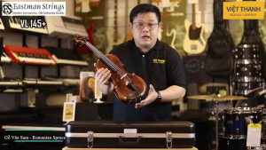 Đàn violin Samuel Eastman Series+ VL145+