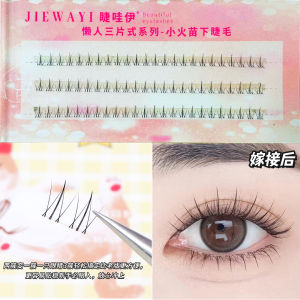 Small Flame Eyelashes Fake Eyelashes Ten Rows Bean Bag SUNFLOWER Small Wild Cat Eyelash Nature Mother Born out of Nothing