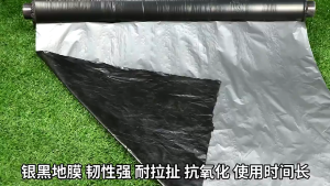 PlastikPenutup Tanah 0.030/0.45mm Silvershine Roll Irrigation Plastik Fertigasi silvershine penutup tanah bumi 银黑地膜