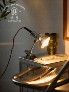 Vintage Industrial Adjustable Clip On Table Lamp