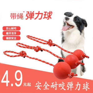 ของเล่นยางสำหรับสุนัข Amor A1 ที่ทนทานต่อการเคี้ยว ทรงกลม ทรงกระบอก อุปกรณ์ฝึกสุนัข ยางทนทาน ขนาดกลาง