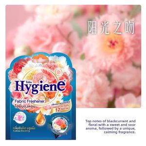 Hygiene | Long Lasting Fragrance Odor Remover Air Freshener