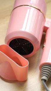 Blower Hair Dryer Quick Dry Portable High Power Low Noise Foldable Negative Ion Quick Dry Hair Blower Pet Hair dyer