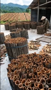 Quế thanh cạo vỏ dài decor 1kg Quế Yên Bái thơm tự nhiên cắm bình xông nhà pha trà Hương Rừng