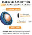 🇺🇸พร้อมส่ง🇺🇸 Liposomal NAD+ Supplement 500 mg, High Absorption 60 softgels. 