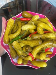 (chỉ giao miền Nam) 1kg Dưa leo non nguyên trái muối chua