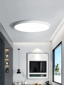 Smile | Slim Triple-protected Ceiling Light