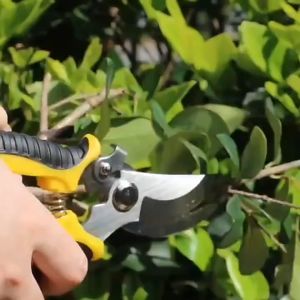 กรรไกรตัดกิ่ง SK5 กรรไกรตัดกิ่งไม้ กรรไกรแต่งกิ่ง ทำสวน กรรไกรตัดแต่งกิ่งไม้ เครื่องมือจัดทำสวน มีระบบล็อคด้าม กรรไกรตัดกิ่งไม้ กรรไกรตัดกิ่ง Garden Hand Tools Scissors Stainless Steel Labor-Saving Pruning Scissors