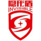 Invisible 1778484887