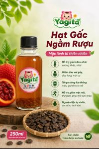 Rượu ngâm hạt gấc Hạt gấc ngâm rượu xoa bóp nguyên chất Yagita hỗ trợ viêm xoang mũi trĩ hạch làm dịu giảm sưng tan máu bầm sau té ngã 250 ml