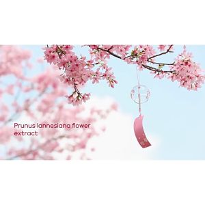 LAIKOU FENYI Japan Cherry Blossom Peeling Gel Cleanse Pores Remove Dead Skin Smooth Skin Exfoliating Brightening Gel 60g