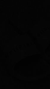 Wellplans Sendal Model Slop Premium Pria Wanita