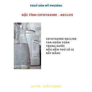 K/h/a/n/g Sinh CEFO TAXIME 98% - CEFOTA XIME SODIUM STERILE NECLINE - Thu/ô/c Gan Cho Tôm Đặc Tri Bênh Gan Cấp Tính Trên Tôm Thẻ Cá Khng Sinh Thuỷ Sản Đường Ruột  - Nuôi Tôm Cá Ếch Lươn Baba - THUỶ SẢN MỸ PHƯƠNG