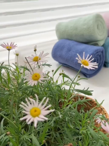 (SG STOCK) Premium Microfiber Bath Towel Face Towels - Extra-Soft Super-Absorbent Quick-Dry Gentle on Hair and Skin