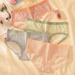 Celana Dalam CD Wanita Bahan Katun Premium ukuran 32 – 60 kg ( Size M – XL ) 016