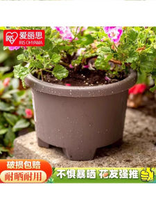 IRIS Flowerpot Thick round Environmental-Friendly Resin Balcony Planting Succulent Florals Vegetable Alice Bulb Pot