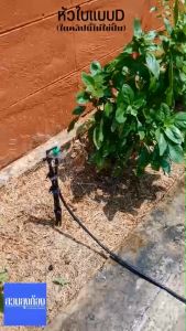 (50อัน)มินิสปริงเกอร์ใบแบบDสีเขียว/มินิสปริงเกอร์ใบเทา(รุ่นใหม่)/สปริงเกอร์/หัวจ่ายน้ำ/หัวฉีดน้ำ