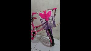 Sepeda Anak Perempuan 16 Inch Usia 4 5 Tahun