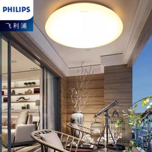 Philips | Simple Modern LED Ceiling Light