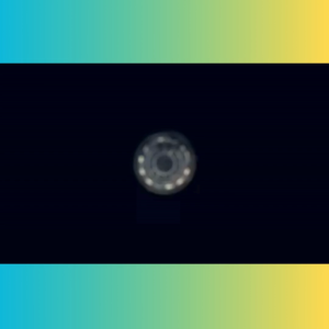 COD Aneng Alat Pendeteksi Gas Bocor Leak Combustible Detector LCD Digital - GN806