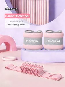 SHENWO | Dance And Fitness Weight Sandbag For Hands And Legs