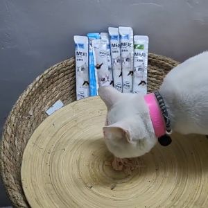 PET DIARY Snack Strip Kucing 15g/Strip Kucing Kecil Makanan Basah Pengemukan Cat Pelengkapa Hewan