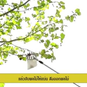 Power ตะกร้อสอยผลไมั ตะกร้อสอยมะม่วง พร้อมด้ามยาว2.1อุป ที่สอยผลไม้สูง ที่สอยมะม่วง ตะกร้อสอยผลไม้ ตระก้อสอยผลไม้ ตระกร้อสอยมะม่วง สอยผลไม้ ที่เก็บผลไม้ ตะก้อสอยผลไม้ สอยมะม่วง ที่สอยผลไม้ ตระกร้อสอย ไม้สอยผลไม้ ไม้เก็บผลไม้ ที่เก็บมะม่วง ตะกร้อเก็บมะม่วง