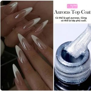 Auroras Glitter 2 Trong 1 Top Coat Gel Sơn Móng Tay Holographic Laser UV Ngâm Tắt Sơn Bóng Bán Vĩnh Viễn Cho Dụng Cụ Làm Móng Tay 10ml