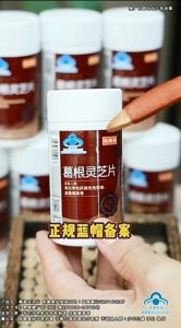 Genuine Fushuntang Li Shizhen Kudzu Root and Ganoderma Liver-protecting Tablets. Reduce blood lipid clear liver fire nourish and protect the liver. Maintenance for liver damage caused by drinking staying up late and chemical factors.