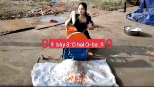 Máy  thái sợi sắn cà rốt  sợi 5 đến 7 ly dẹt