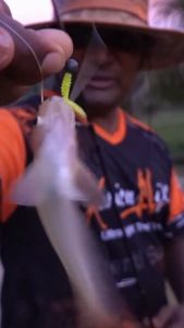 3 Buah Umpan Pancing Softlure Ajing Game Brudu 3.5cm dengan Mata Kail Jighead UL Casting Baby GT