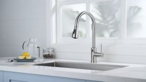 SUS304 Kitchen Faucet Pull Out with Filter Tap Flexible 360° Rotation With Hose Modern Brushed Design Multifunctional