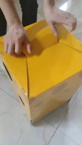 PMT Cat Scratching Cardboard two-layer Cat Pad Cheese Corrugated Scratch Board Cat House COD