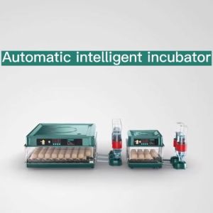 12/24/48/64/130 Egg Incubator Automatic With Hatcher Fully Automatic Incubator Chicken Poultry Hatcher Duck And Goose Brooder Digital Humidity Temperature Control Hatching Machine Incubator For Chicken Egg Incubator 220V/12V Dual Power